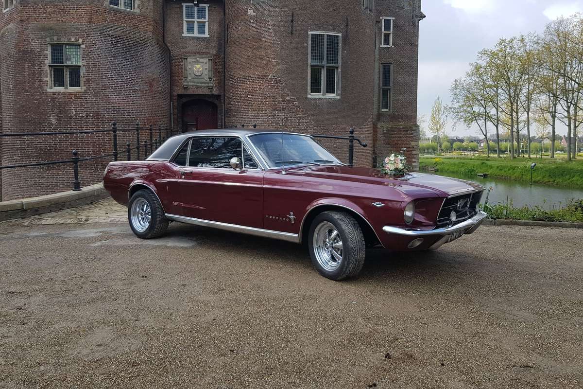 Ford Mustang 1967 : histoire, moteurs, Fastback, Shelby et prix