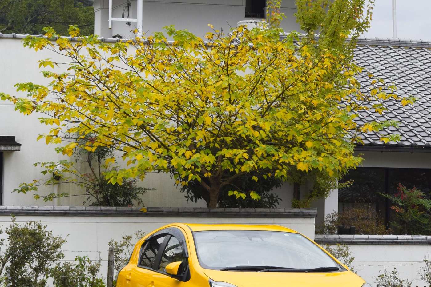 Citadine hybride jaune garee au Japon
