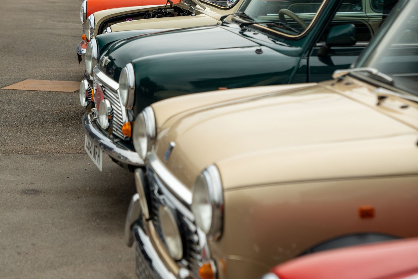 Alignement de Mini classiques lors d'un rassemblement en Angleterre