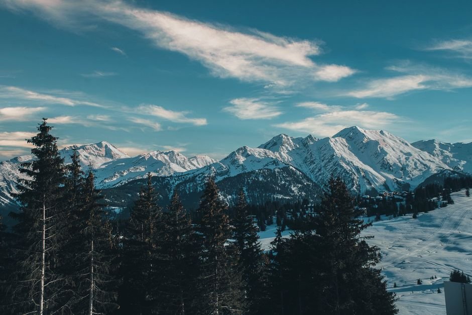 Montagnes enneigées et sapins en Savoie