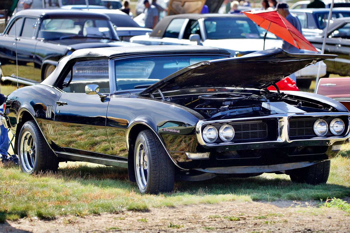 Pontiac Firebird 1968 noire avec le capot ouvert