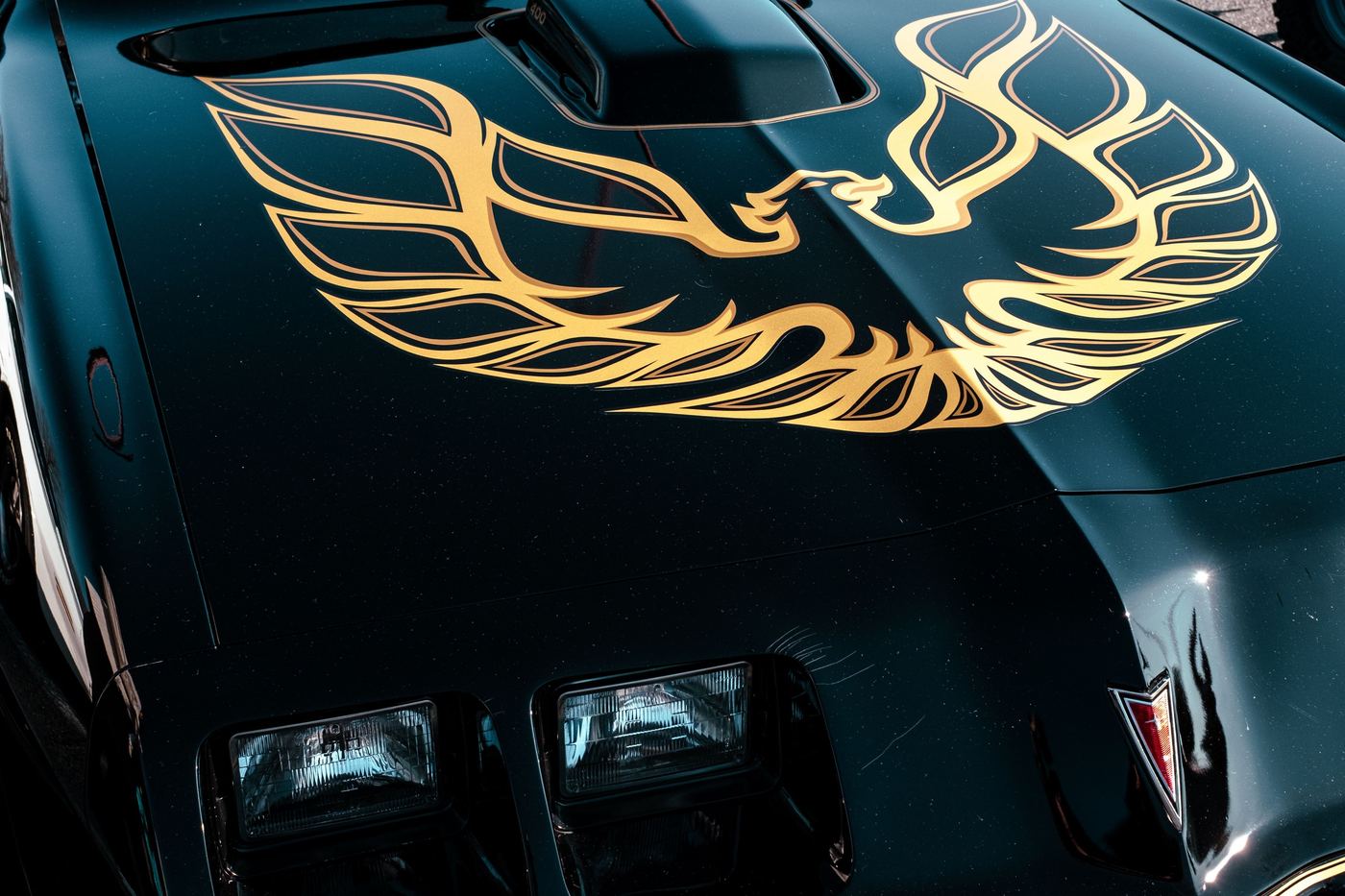 Capot d'une Pontiac Trans Am noire avec l'oiseau de feu doré